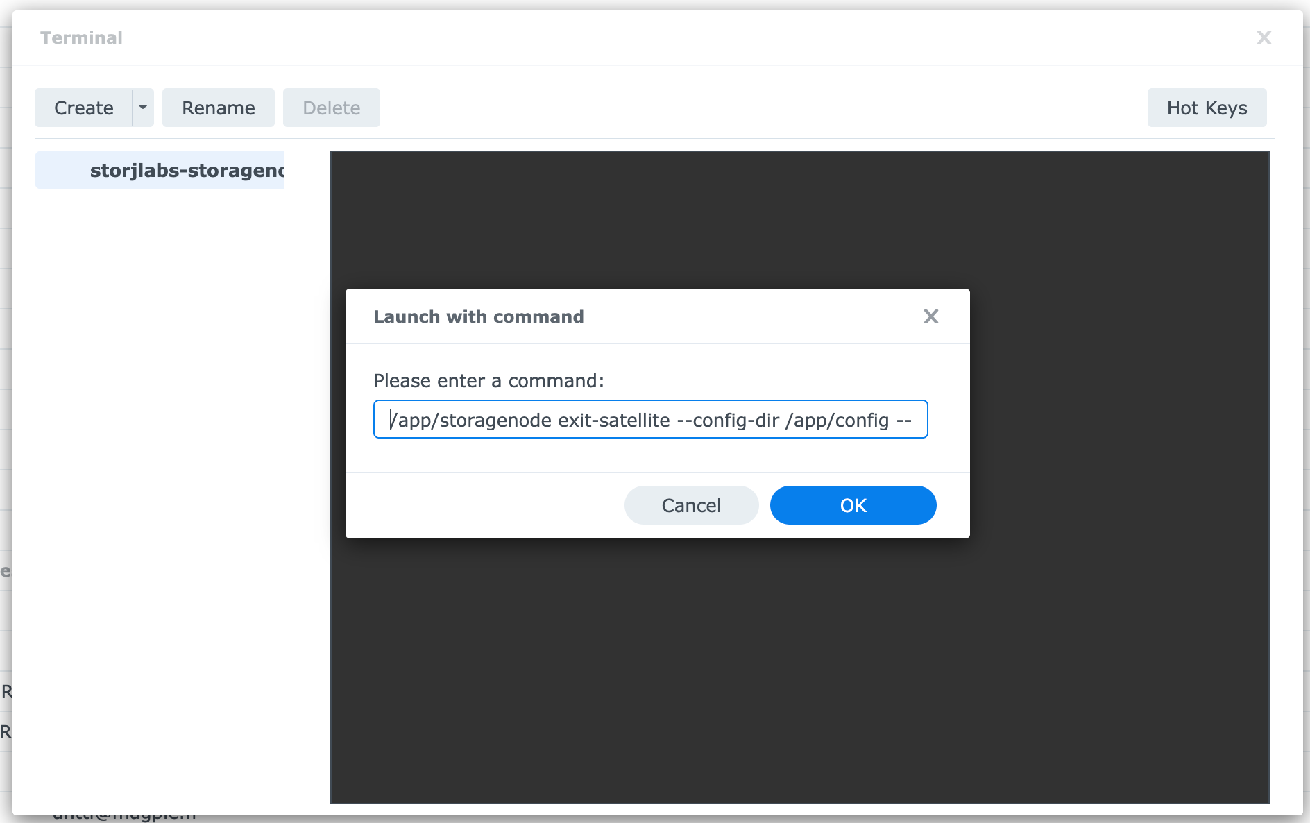 Launch with command in Synology DSM Container Manager
